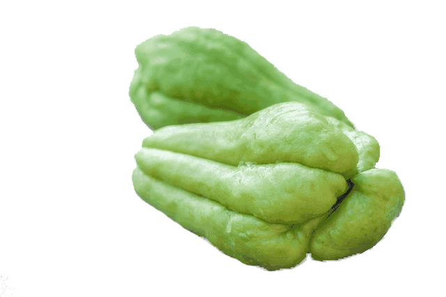 撫州蔬菜配送中心電話
